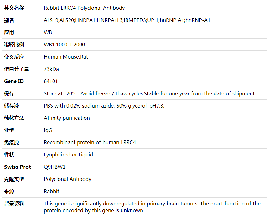 Anti-LRRC4 Polyclonal Antibody,索莱宝,K001940P-30ul