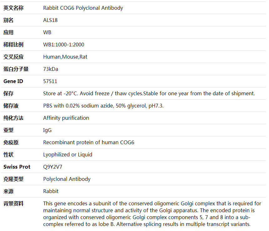 Anti-COG6 Polyclonal Antibody,索莱宝,K001938P-100ul