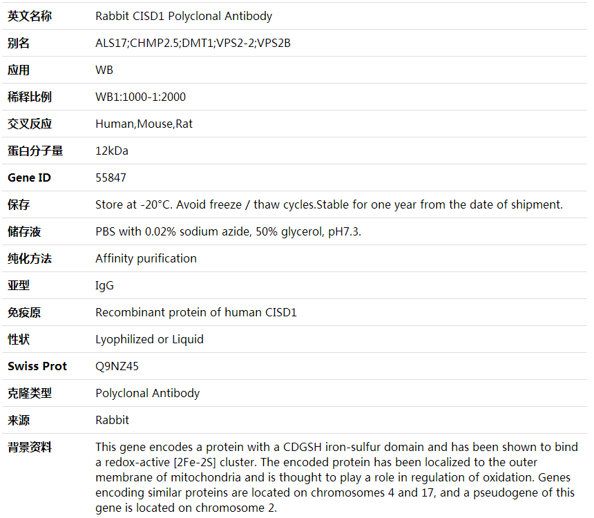 Anti-CISD1 Polyclonal Antibody,索莱宝,K001937P-30ul