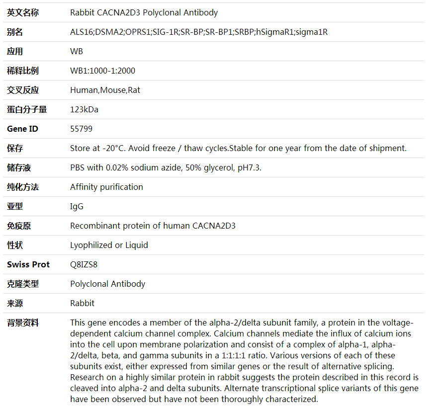 Anti-CACNA2D3 Polyclonal Antibody,索莱宝,K001936P-100ul