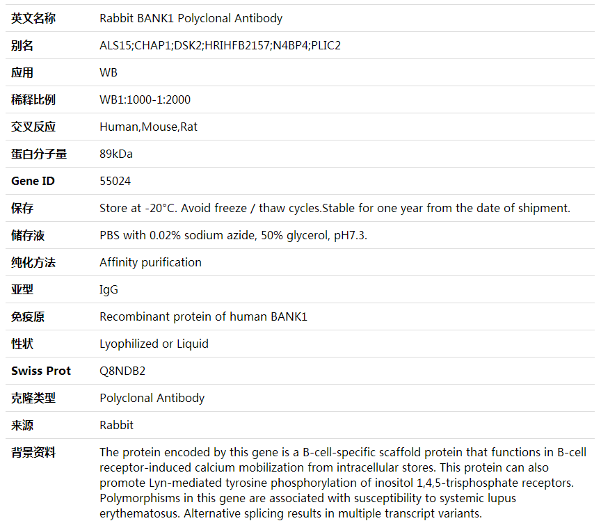 Anti-BANK1 Polyclonal Antibody,索莱宝,K001935P-100ul
