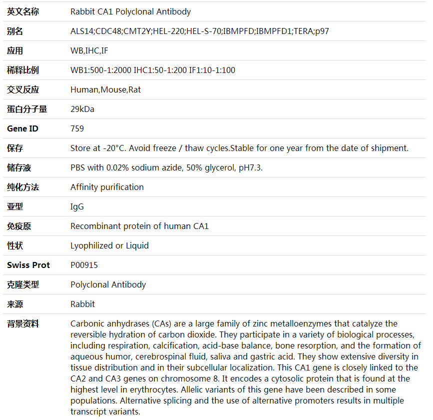 Anti-CA1 Polyclonal Antibody,索莱宝,K001934P-50ul