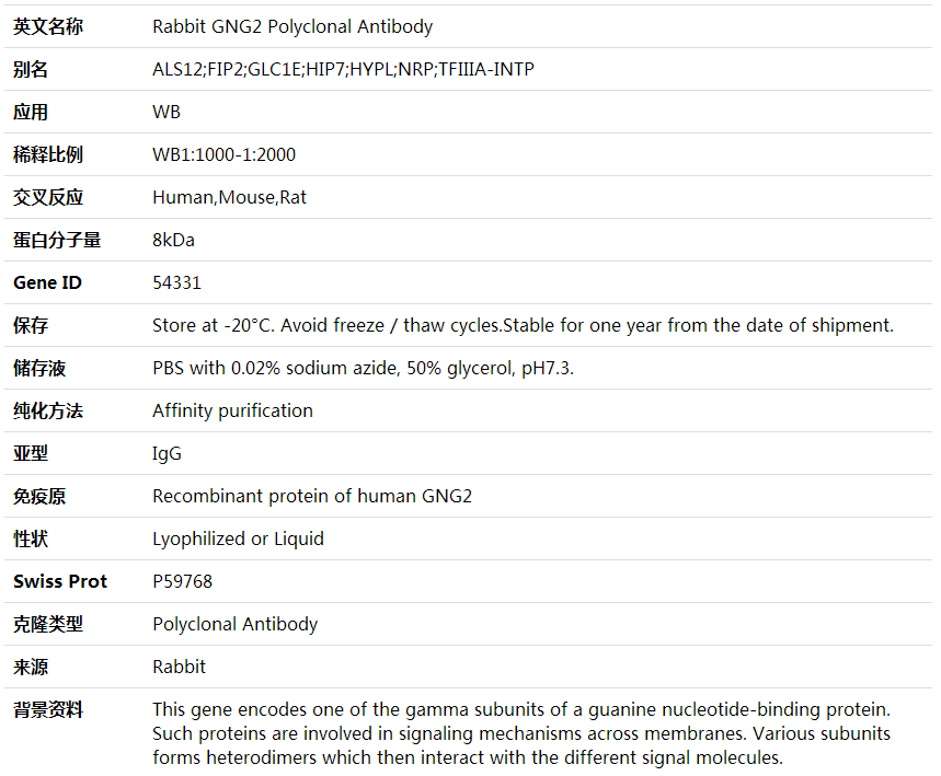 Anti-GNG2 Polyclonal Antibody,索莱宝,K001933P-50ul