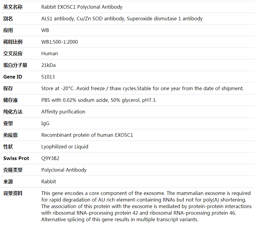 Anti-EXOSC1 Polyclonal Antibody,索莱宝,K001931P-100ul