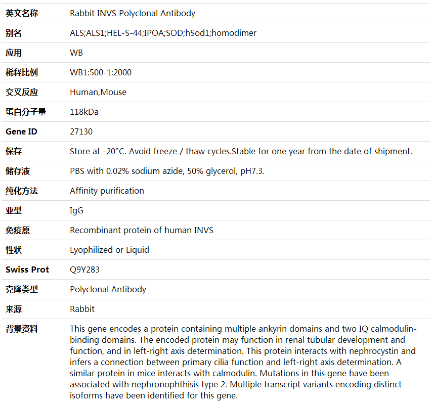 Anti-INVS Polyclonal Antibody,索莱宝,K001930P-100ul