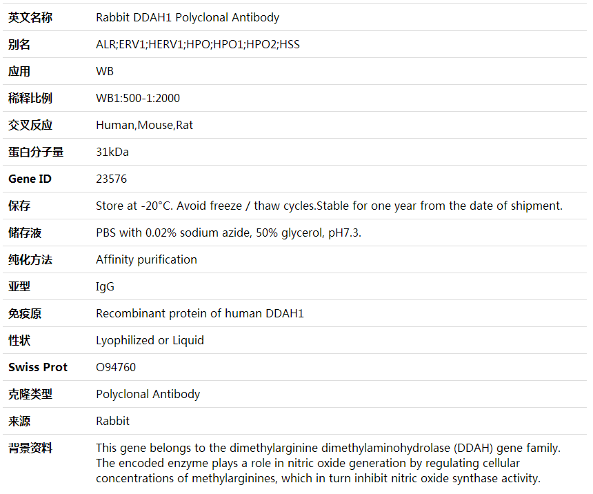 Anti-DDAH1 Polyclonal Antibody,索莱宝,K001928P-50ul