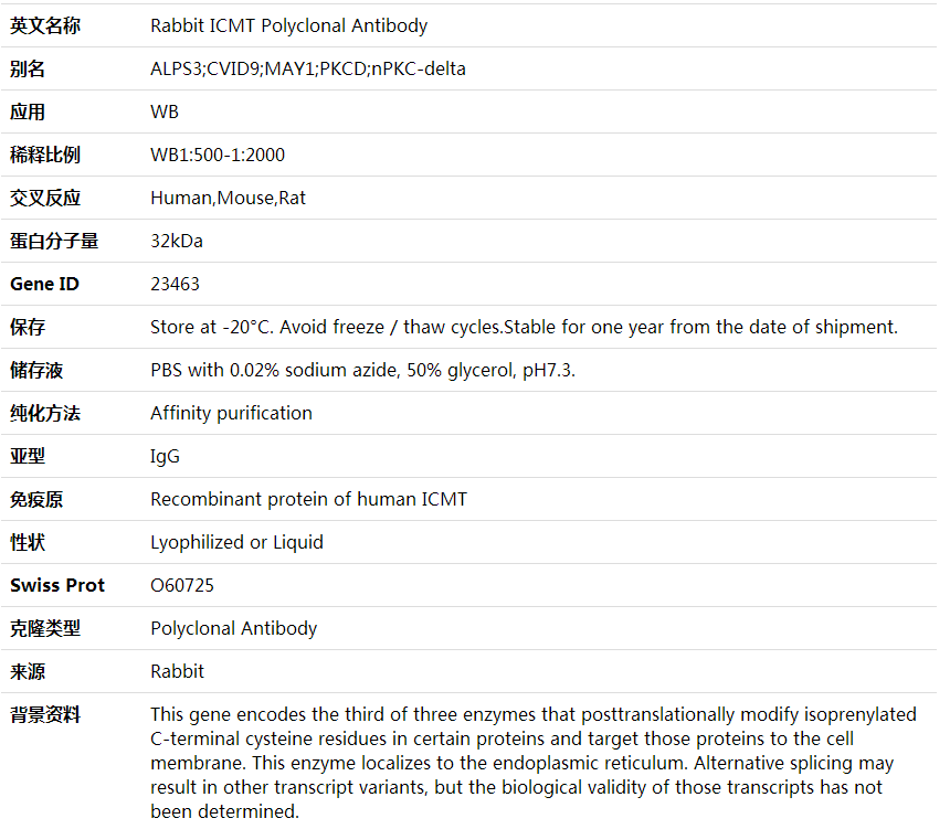 Anti-ICMT Polyclonal Antibody,索莱宝,K001926P-30ul