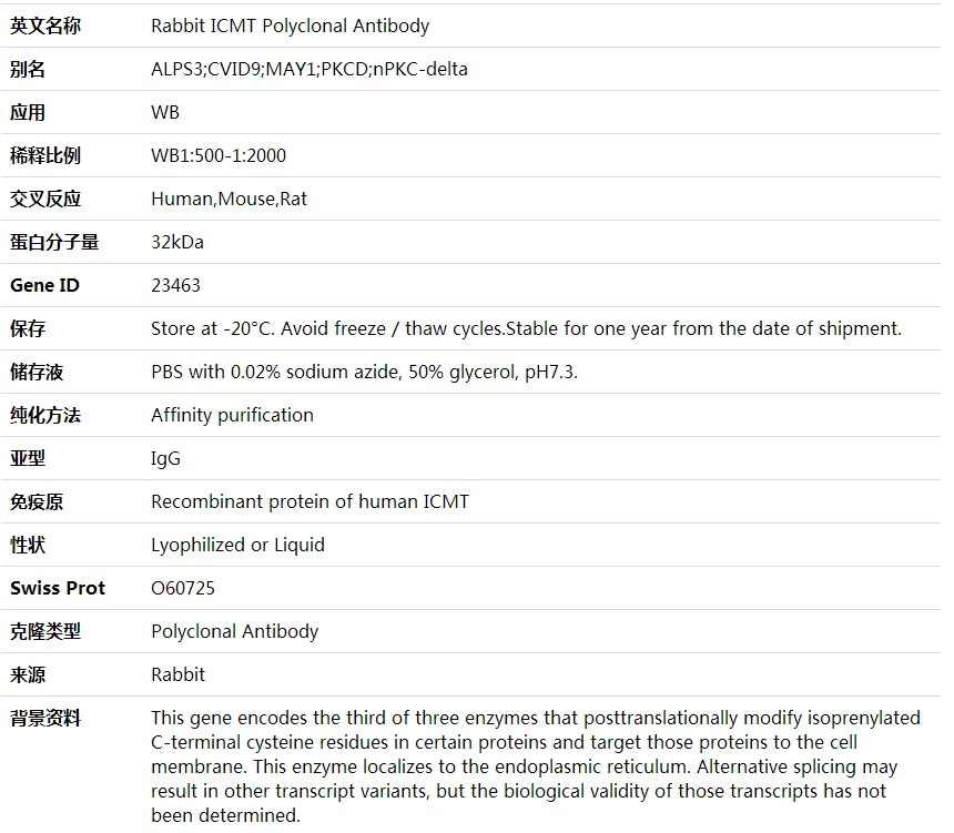 Anti-ICMT Polyclonal Antibody,索莱宝,K001926P-50ul