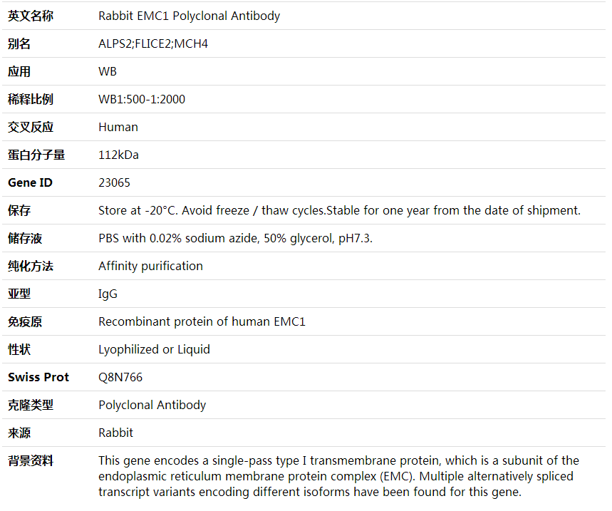 Anti-EMC1 Polyclonal Antibody,索莱宝,K001923P-50ul