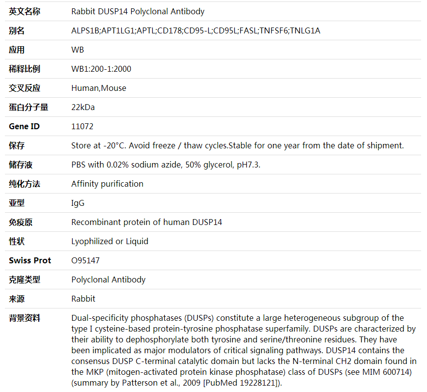 Anti-DUSP14 Polyclonal Antibody,索莱宝,K001922P-30ul