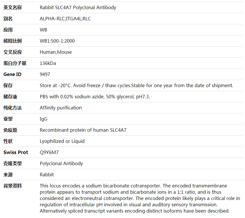 Anti-SLC4A7 Polyclonal Antibody,索莱宝,K001916P-50ul