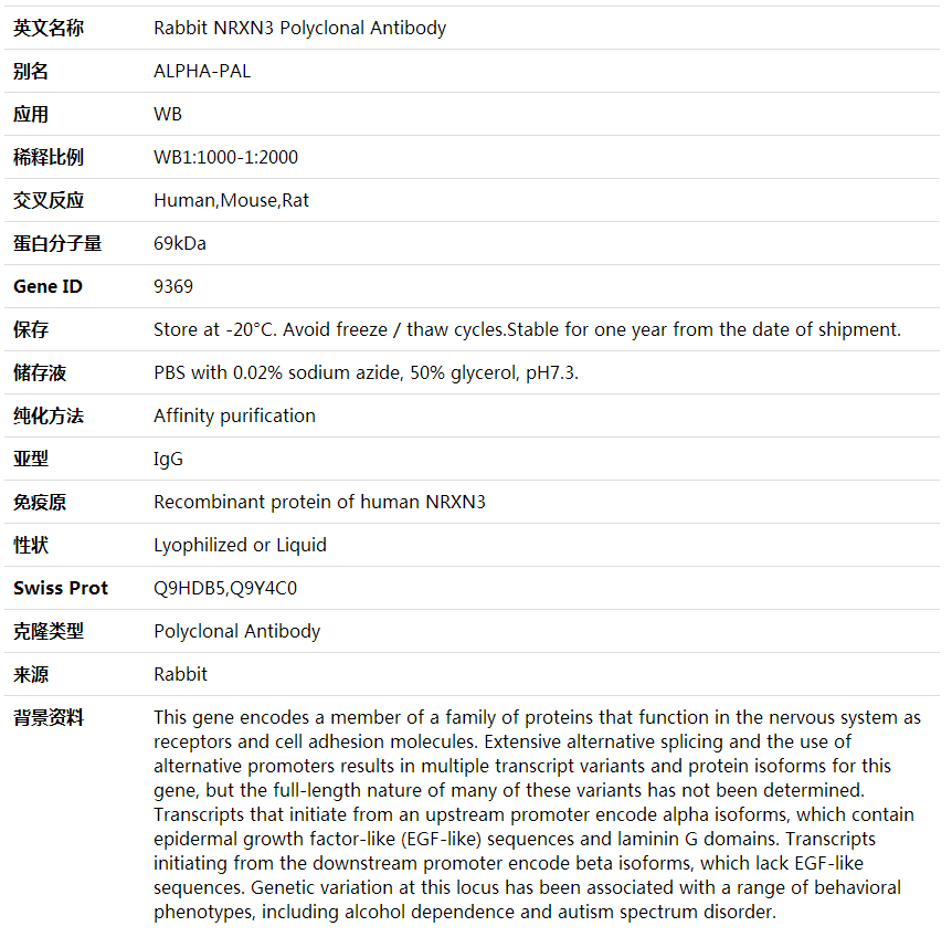 Anti-NRXN3 Polyclonal Antibody,索莱宝,K001914P-100ul
