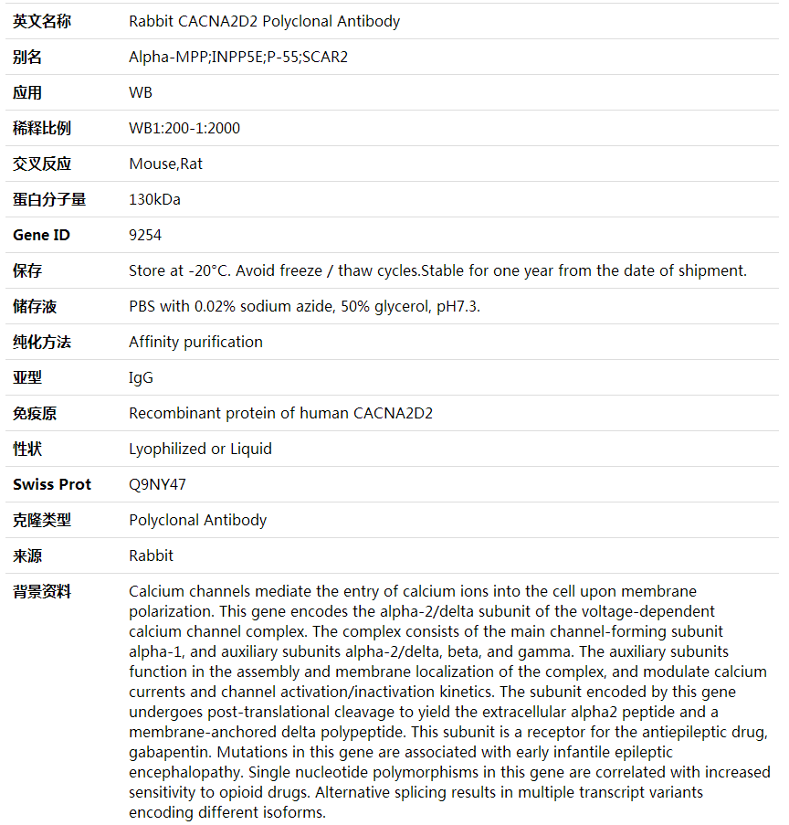Anti-CACNA2D2 Polyclonal Antibody,索莱宝,K001913P-100ul