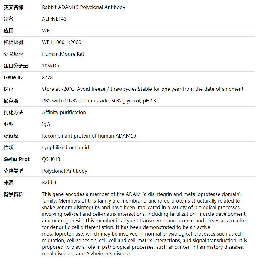 Anti-ADAM19 Polyclonal Antibody,索莱宝,K001909P-50ul