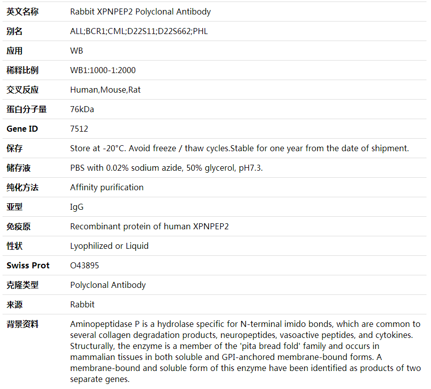 Anti-XPNPEP2 Polyclonal Antibody,索莱宝,K001906P-50ul