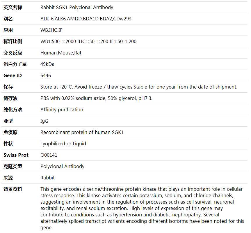Anti-SGK1 Polyclonal Antibody,索莱宝,K001904P-30ul