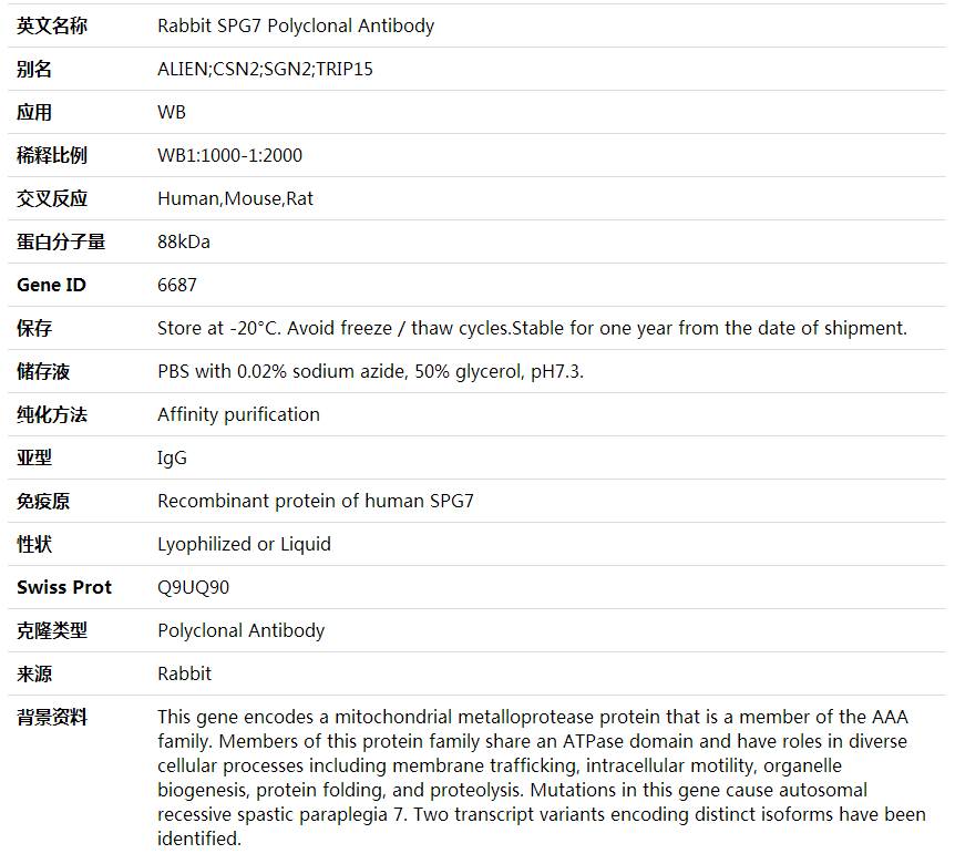 Anti-SPG7 Polyclonal Antibody,索莱宝,K001903P-50ul