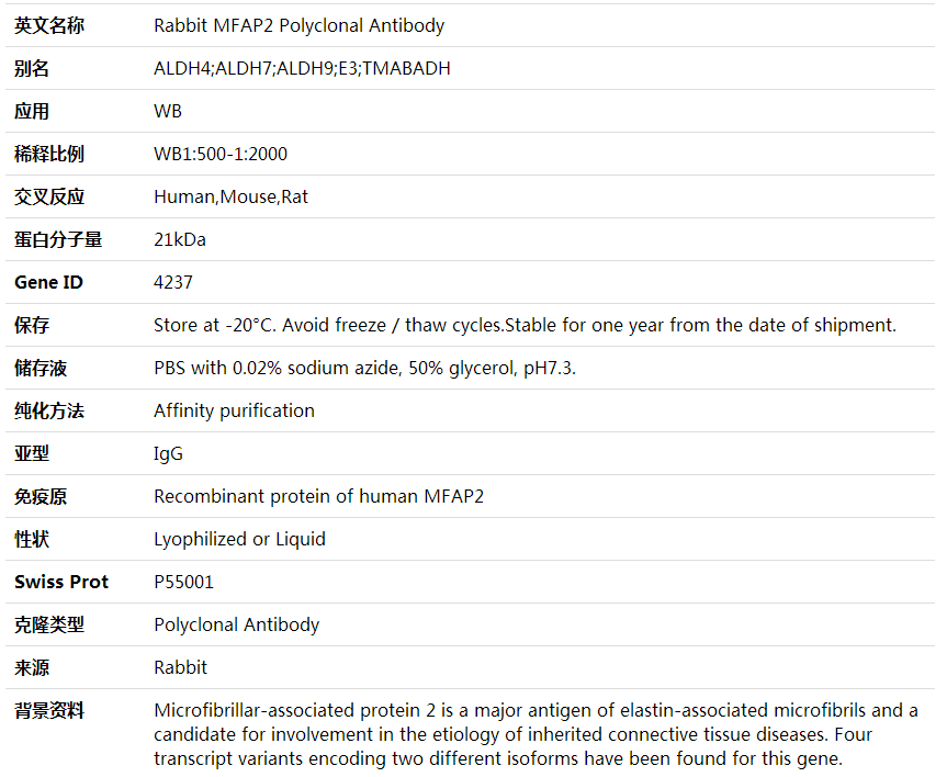 Anti-MFAP2 Polyclonal Antibody,索莱宝,K001896P-50ul