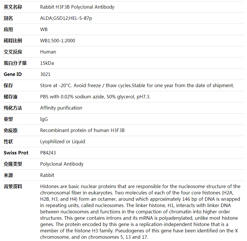 Anti-H3F3B Polyclonal Antibody,索莱宝,K001891P-30ul