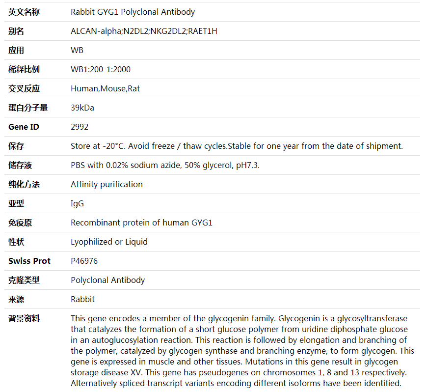 Anti-GYG1 Polyclonal Antibody,索莱宝,K001890P-100ul