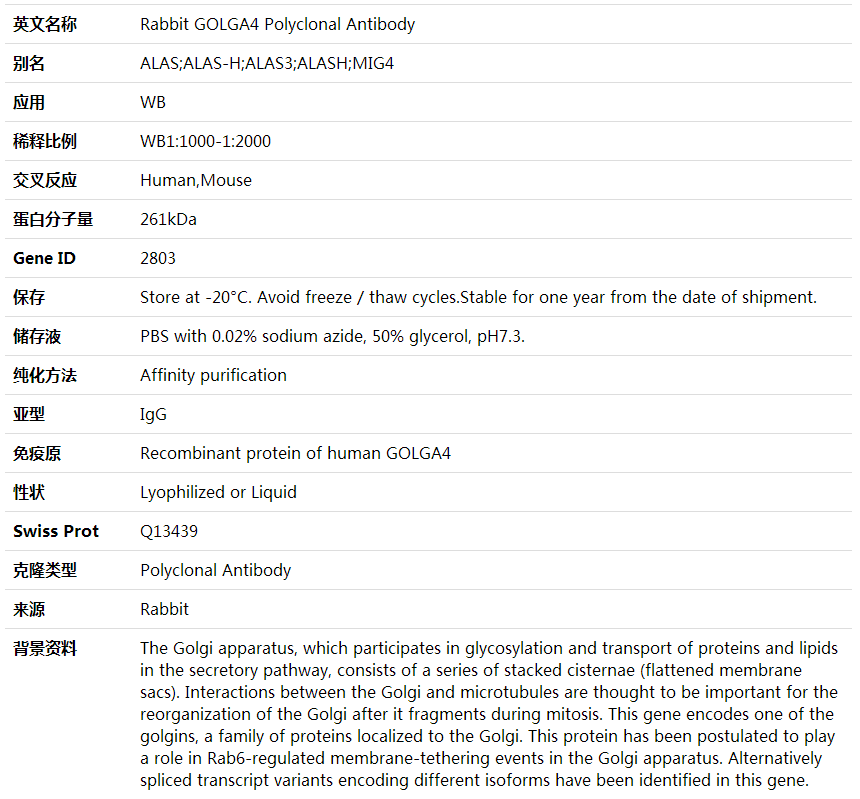 Anti-GOLGA4 Polyclonal Antibody,索莱宝,K001888P-100ul