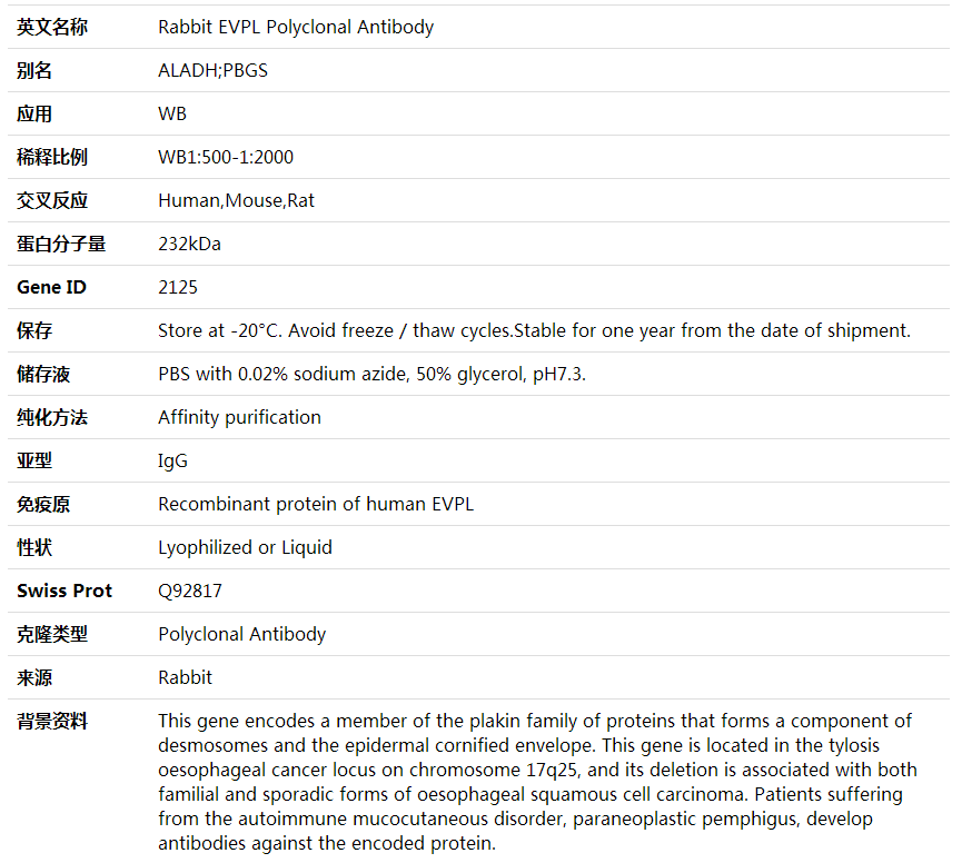 Anti-EVPL Polyclonal Antibody,索莱宝,K001887P-30ul
