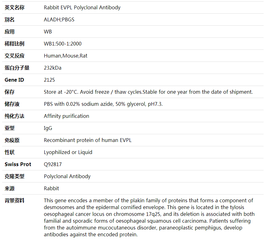 Anti-EVPL Polyclonal Antibody,索莱宝,K001887P-100ul