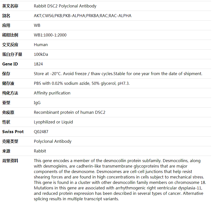 Anti-DSC2 Polyclonal Antibody,索莱宝,K001886P-100ul