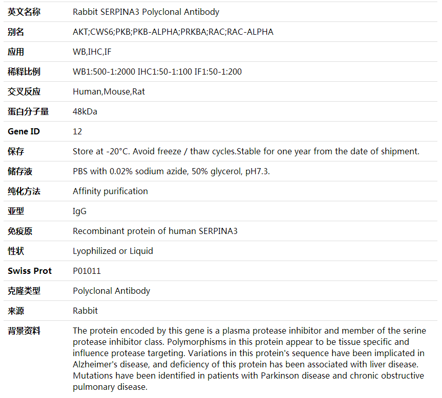 Anti-SERPINA3 Polyclonal Antibody,索莱宝,K001885P-100ul