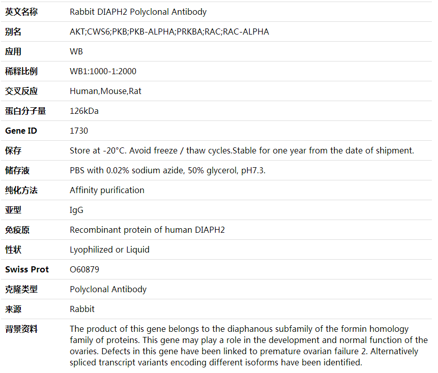 Anti-DIAPH2 Polyclonal Antibody,索莱宝,K001884P-50ul