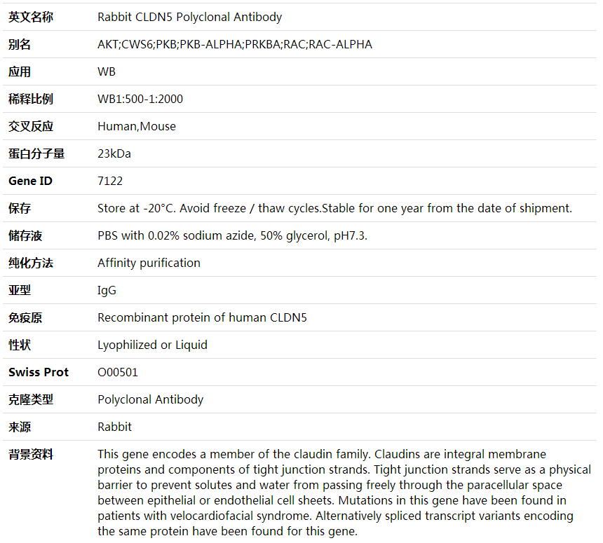 Anti-CLDN5 Polyclonal Antibody,索莱宝,K001883P-30ul