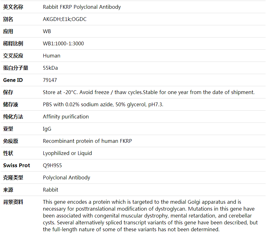 Anti-FKRP Polyclonal Antibody,索莱宝,K001879P-50ul