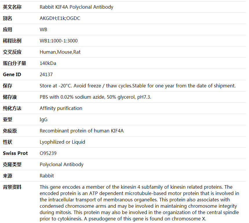 Anti-KIF4A Polyclonal Antibody,索莱宝,K001878P-100ul