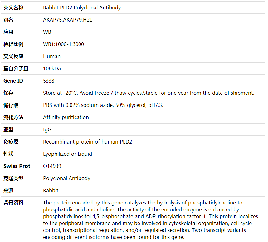 Anti-PLD2 Polyclonal Antibody,索莱宝,K001877P-100ul