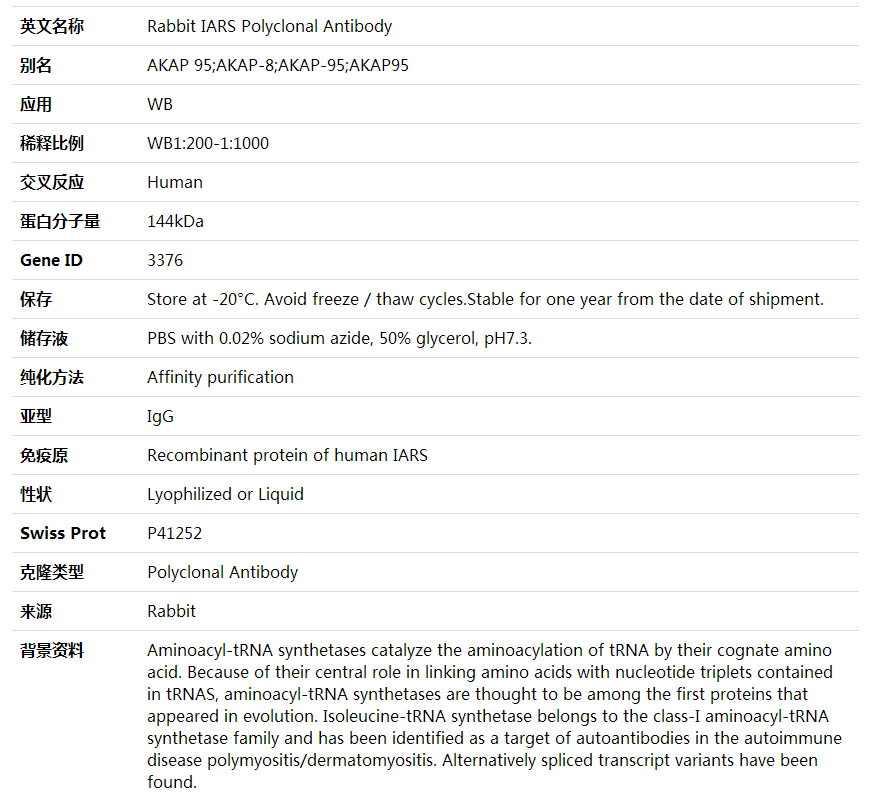 Anti-IARS Polyclonal Antibody,索莱宝,K001875P-100ul
