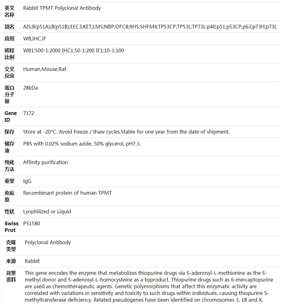 Anti-TPMT Polyclonal Antibody,索莱宝,K001870P-30ul