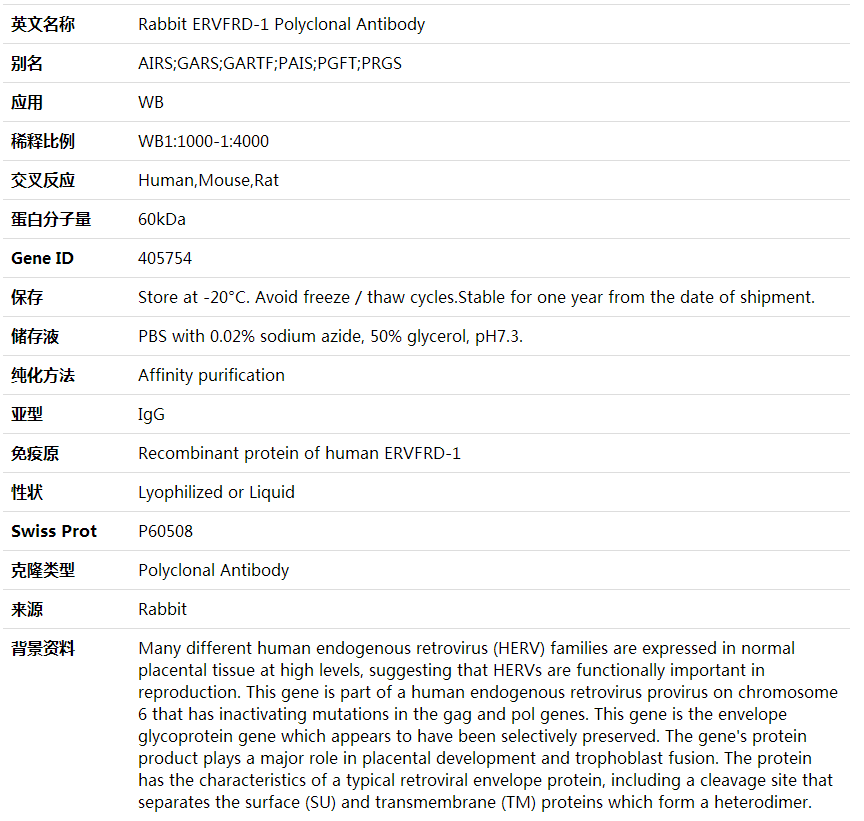 Anti-ERVFRD-1 Polyclonal Antibody,索莱宝,K001867P-100ul