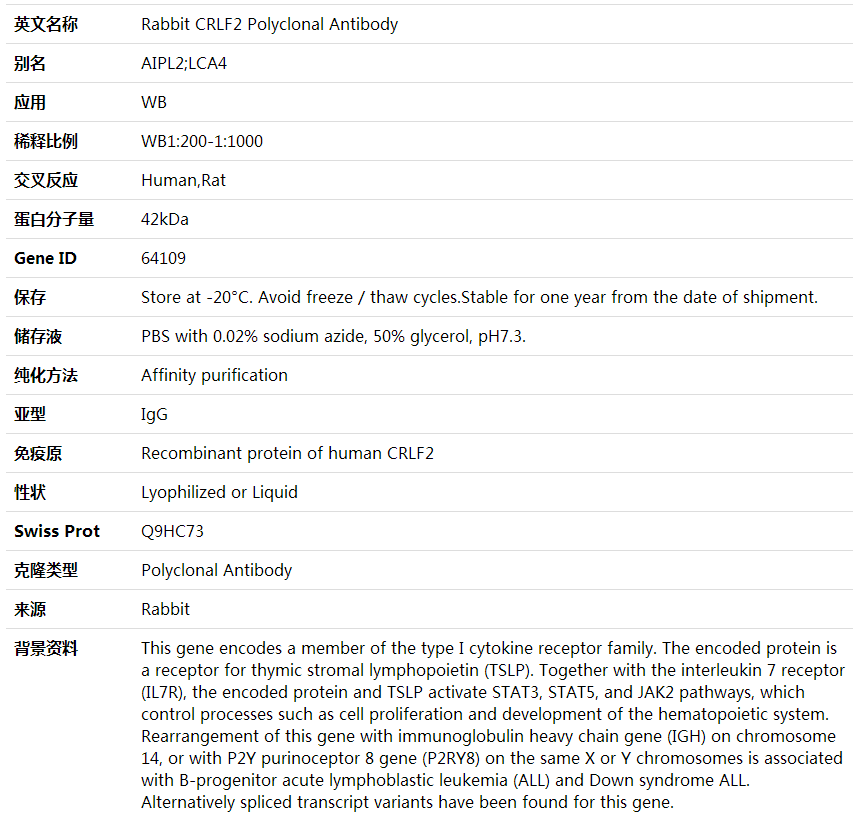 Anti-CRLF2 Polyclonal Antibody,索莱宝,K001865P-30ul