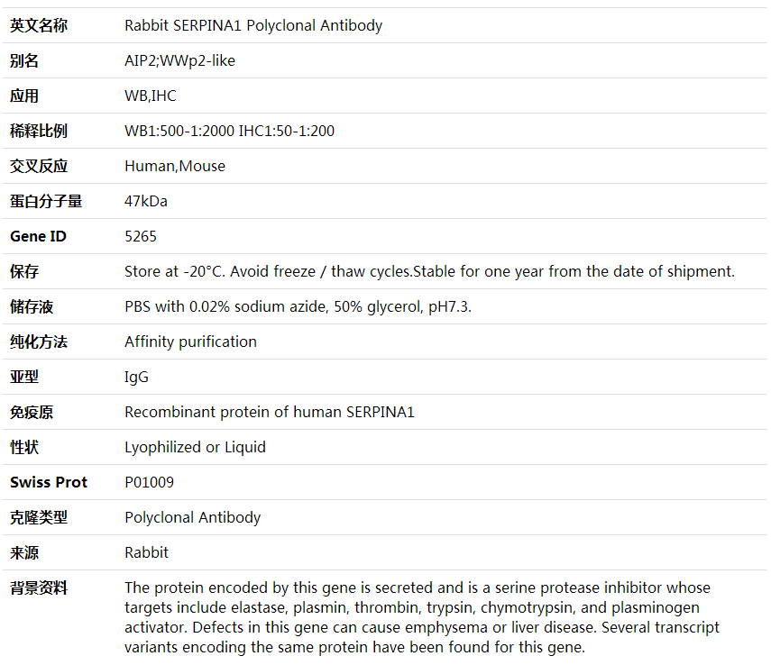 Anti-SERPINA1 Polyclonal Antibody,索莱宝,K001864P-30ul