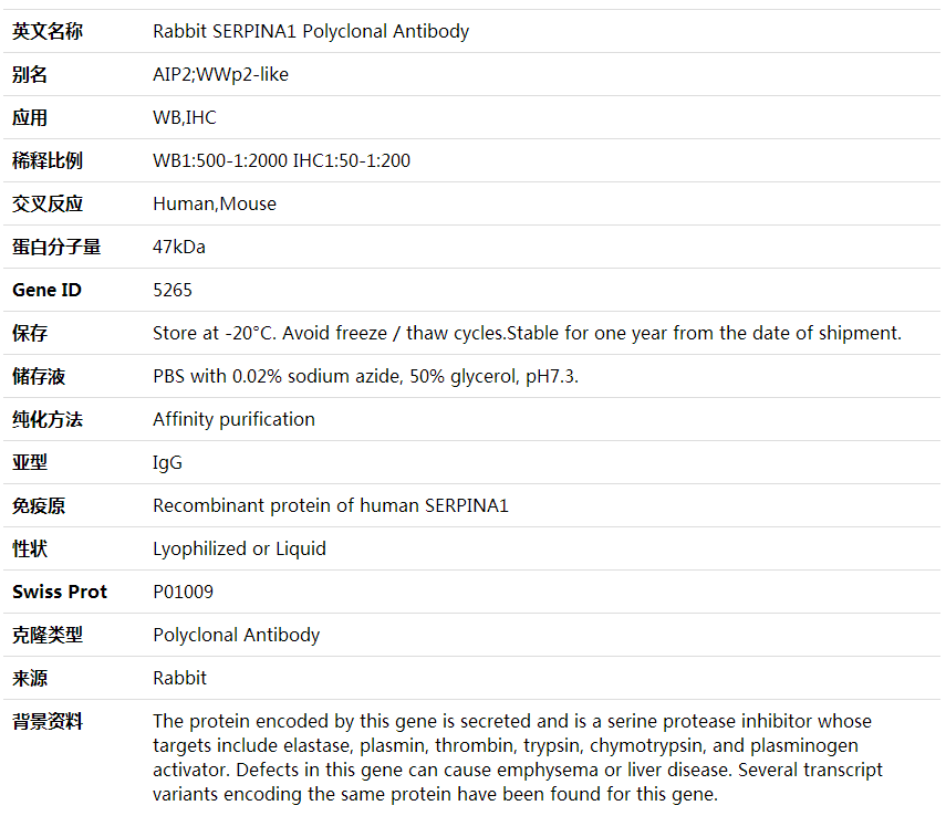 Anti-SERPINA1 Polyclonal Antibody,索莱宝,K001864P-50ul