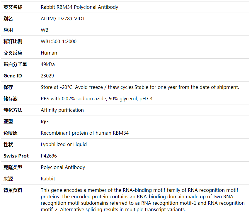 Anti-RBM34 Polyclonal Antibody,索莱宝,K001858P-100ul