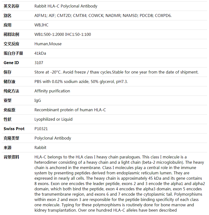 Anti-HLA-C Polyclonal Antibody,索莱宝,K001854P-100ul