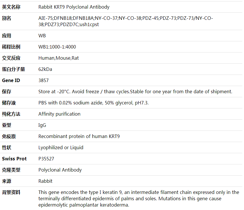 Anti-KRT9 Polyclonal Antibody,索莱宝,K001849P-30ul