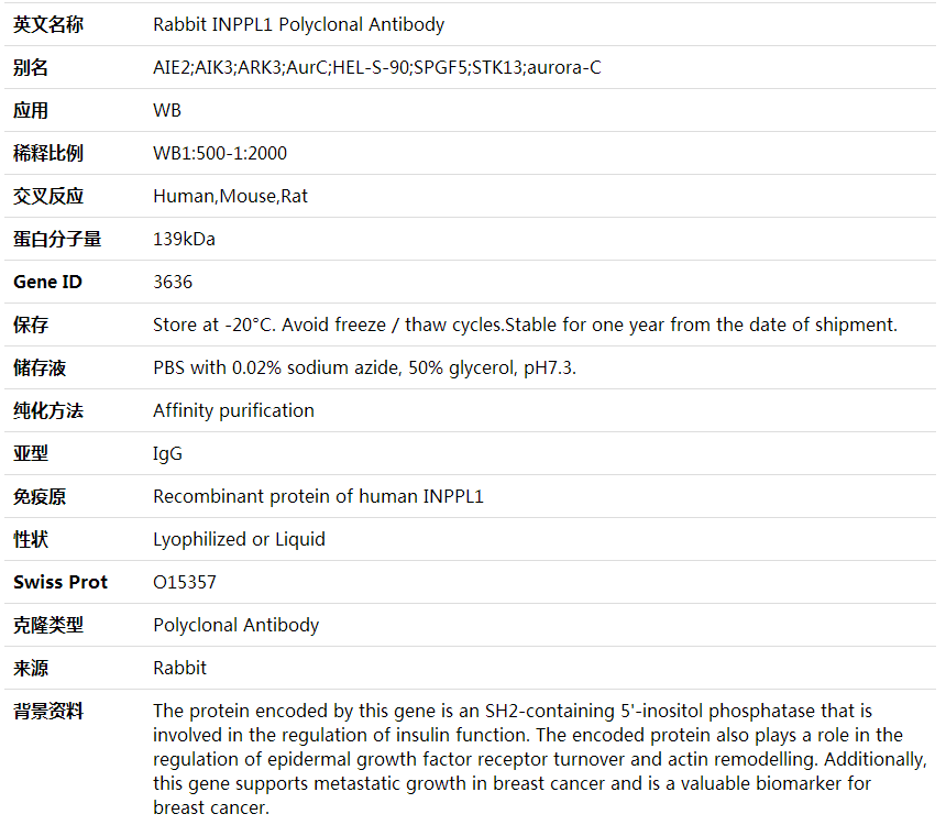 Anti-INPPL1 Polyclonal Antibody,索莱宝,K001848P-50ul