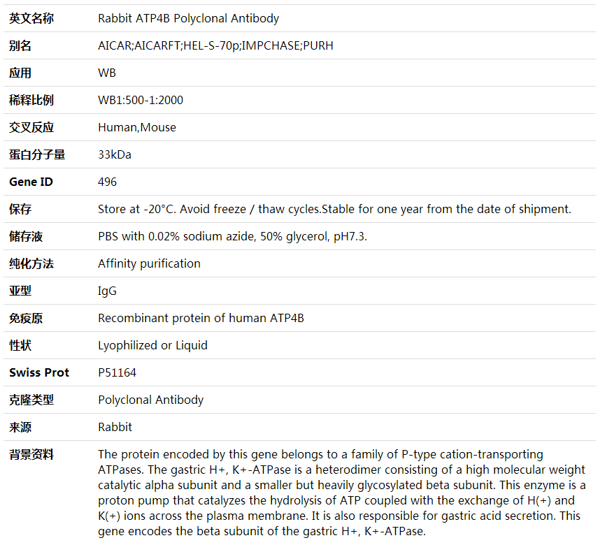 Anti-ATP4B Polyclonal Antibody,索莱宝,K001845P-100ul