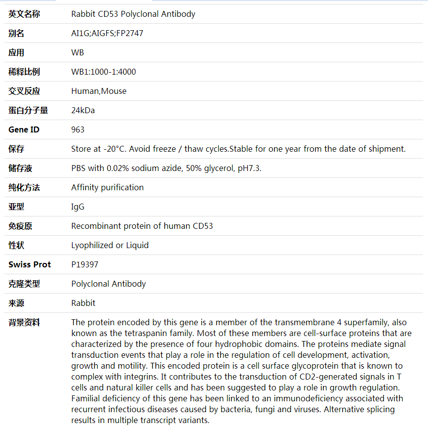 Anti-CD53 Polyclonal Antibody,索莱宝,K001837P-30ul