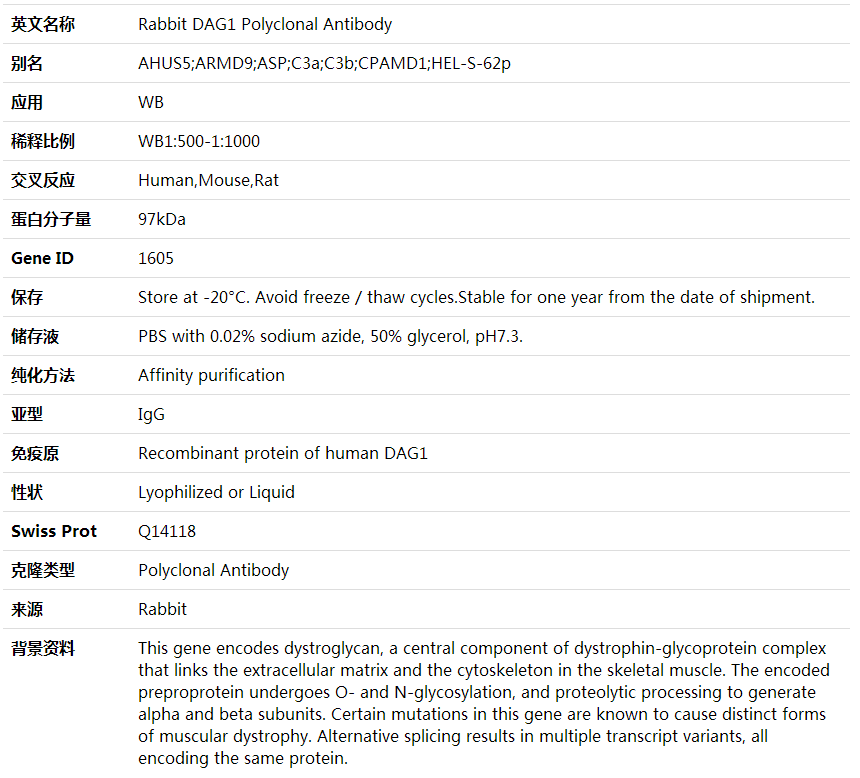Anti-DAG1 Polyclonal Antibody,索莱宝,K001835P-30ul