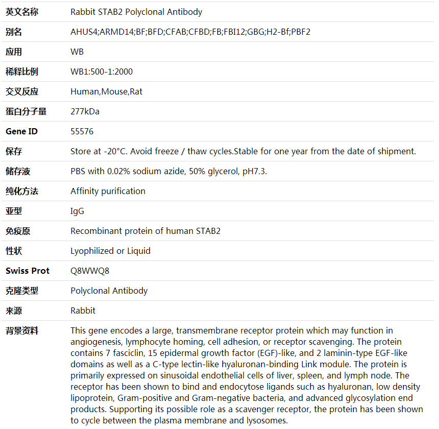 Anti-STAB2 Polyclonal Antibody,索莱宝,K001834P-100ul