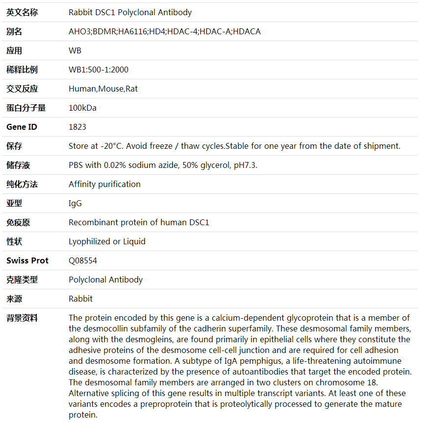 Anti-DSC1 Polyclonal Antibody,索莱宝,K001829P-100ul