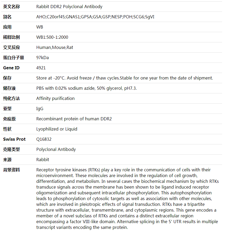 Anti-DDR2 Polyclonal Antibod,索莱宝,K001828P-100ul